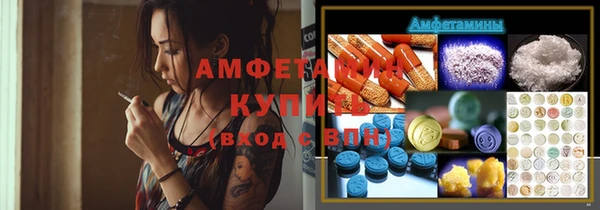 прущие грибы Михайлов
