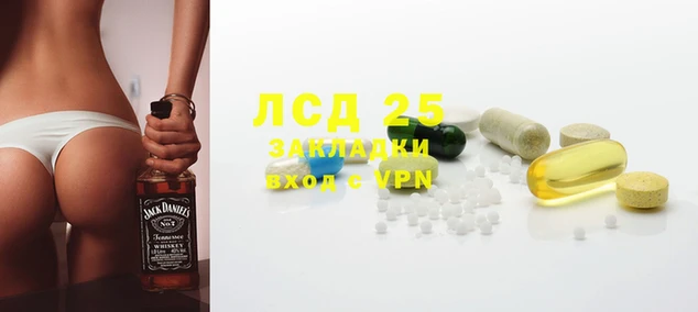 прущие грибы Михайлов