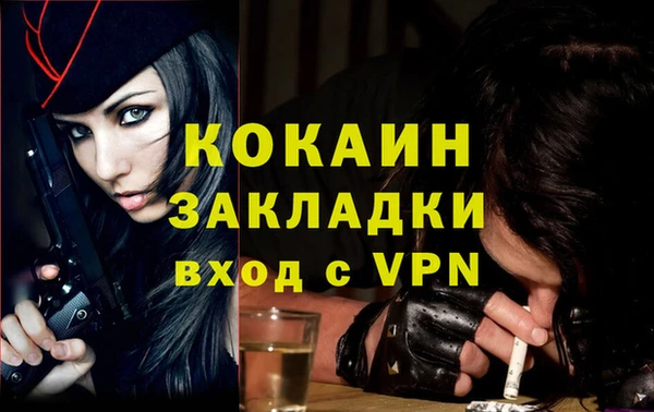 apvp Щигры