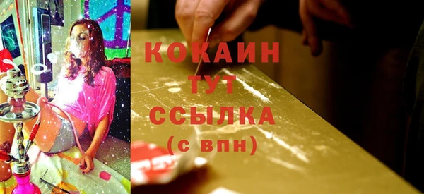 стафф Бородино