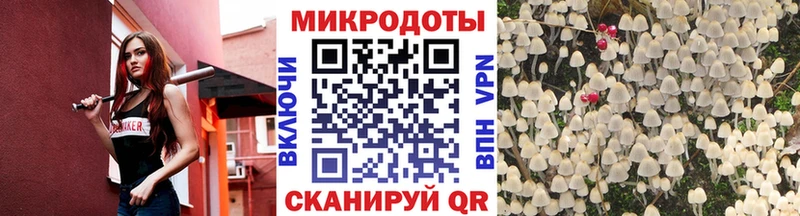 Галлюциногенные грибы прущие грибы  Лосино-Петровский 