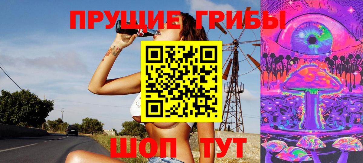 Лосино-Петровский  Псилоцибиновые грибы MAGIC MUSHROOMS  Псилоцибиновые грибы MAGIC MUSHROOMS  Вход с VPN 