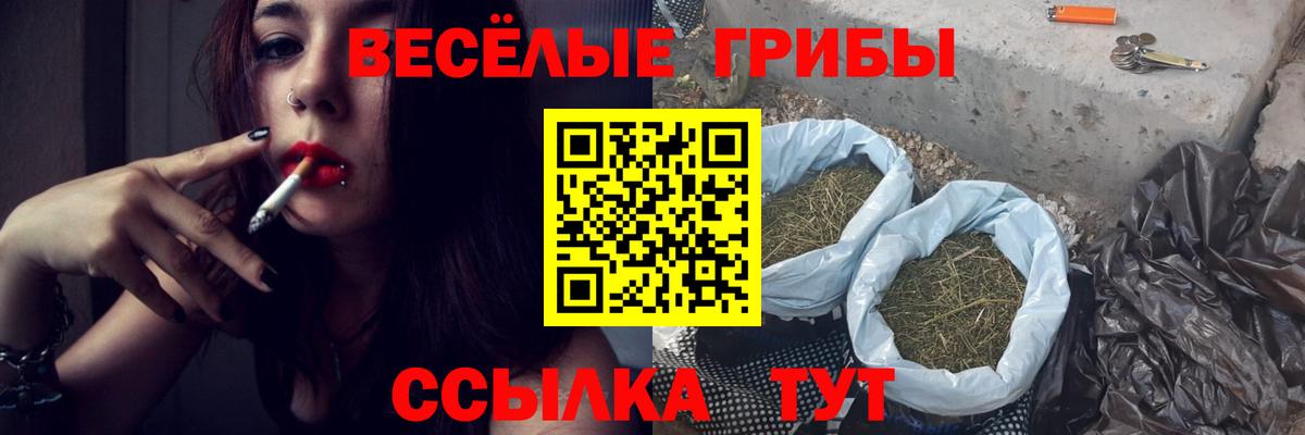 Галлюциногенные грибы GOLDEN TEACHER  Лосино-Петровский  Псилоцибиновые грибы Psilocybine cubensis 